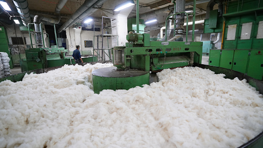 Cotton Processing