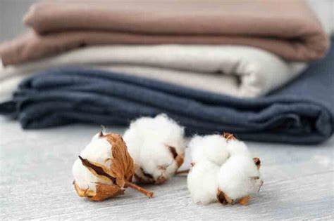 Cotton Product